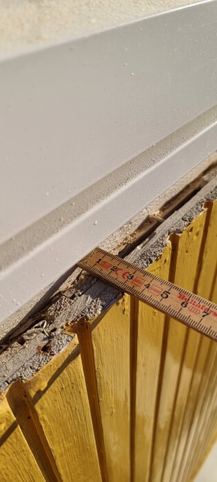 Närbild av en genomskärning av en vägg med gul träpanel, exponerad metallfasad, och en linjal som mäter tjockleken.