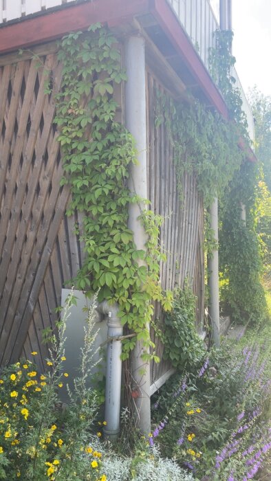 Stålrör med gröna klätterväxter och blommor i varierande färger, monterat intill en trävägg.