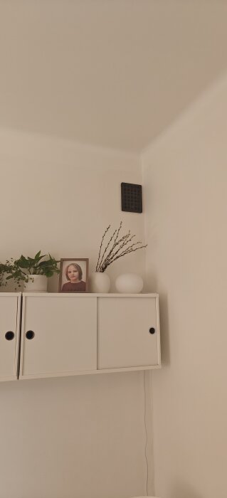 Väggfasta hyllor med krukväxter, en inramad bild och dekorativt kvistarrangemang i lägenhet.