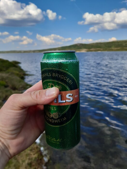 Hand håller en grön burk Dahls pils, bakgrund av sjö och berg under blå himmel med moln.
