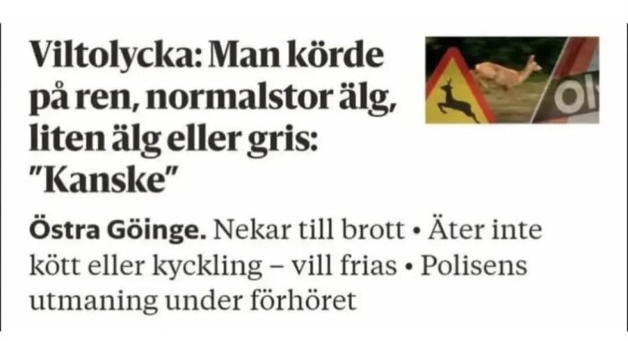 Tidningsrubrik om en viltolycka där en man körde på ett djur, text med alternativ inkluderar ren, älg, eller gris, bredvid varningsskylt och springande rådjur.