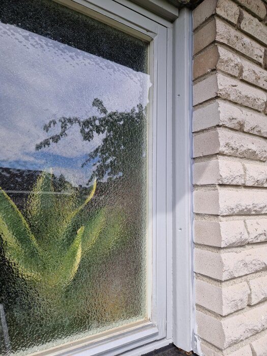 Närbild av ett fönster med träfoder och frostigt glas, omgiven av ljus tegelvägg. Träet verkar behöva underhåll eller byte.