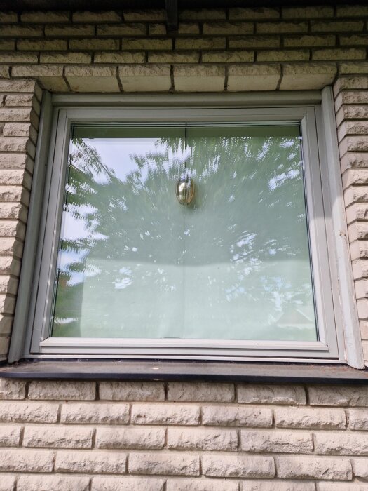 Fönster med träfoder på en tegelfasad, linjer, detaljer, och bevarad reflektionsyta syns i bilden.