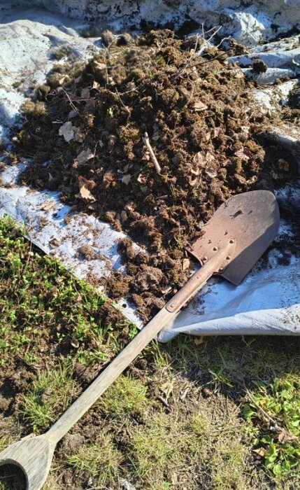 En hög mossa på en presenning, med en spade liggandes bredvid på marken. Grönt gräs syns vid kanten av presenningen.