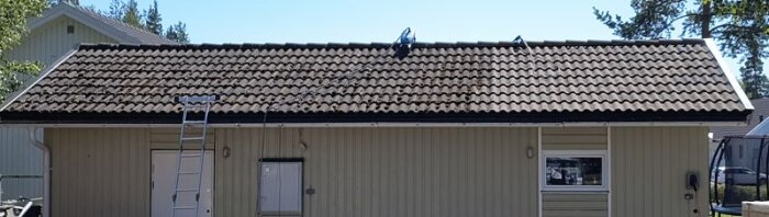 Tak med tegelpannor, delvist rengjort från mossa med högtryckstvätt. Stege lutad mot väggen, utrustning på taket. 1/3 av sidan klart.