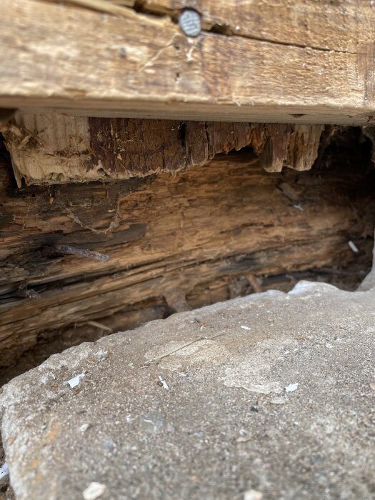 Rötangripen träsyll med synliga skador och sprickor från ett hus från 1926. Strukturen är delvis murken och saknar delar av ytan.