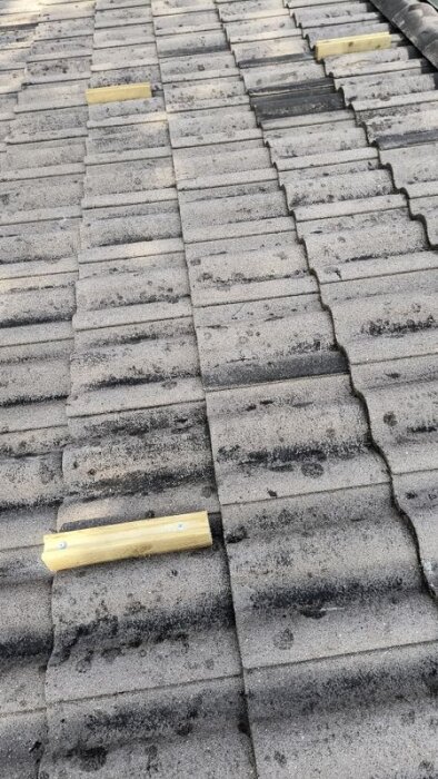 Takpannor med fastskruvade träreglar för solpaneler.