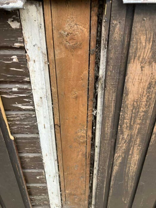 Gammal träpanel med flagnande färg och en del borttagen, avslöjande en obehandlad träbit under, diskussion om renoveringsalternativ pågår.