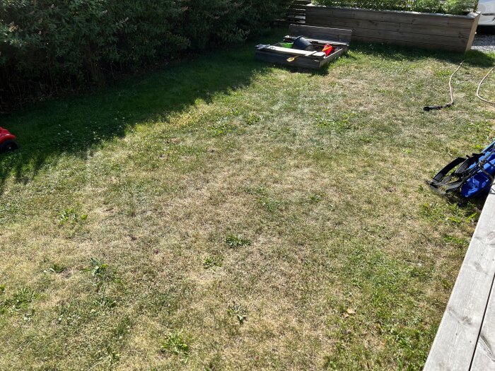 En sliten gräsmatta med klöver och maskrosor, en sandlåda till höger, en röd robotgräsklippare och en blå trädgårdsredskap till vänster.