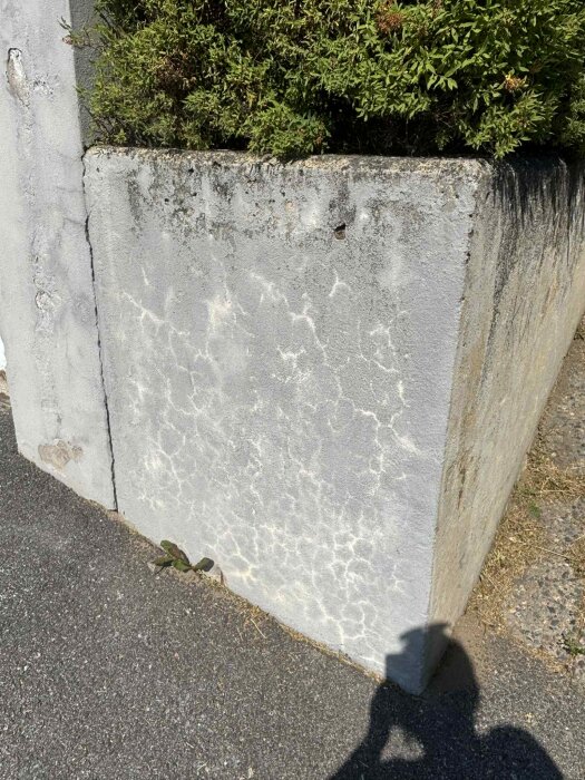 Betongvägg med sprickor och slitage bredvid en buske, skuggor i förgrunden.