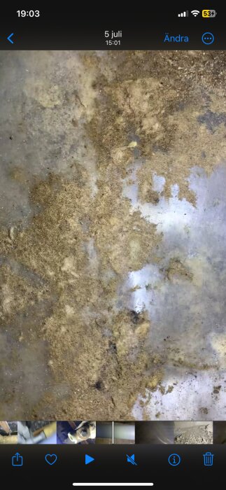 Brunt, fuktigt material ovanpå plast i krypgrund, där det tidigare har rensats. Synlig vitmögel och skräp i bilden.