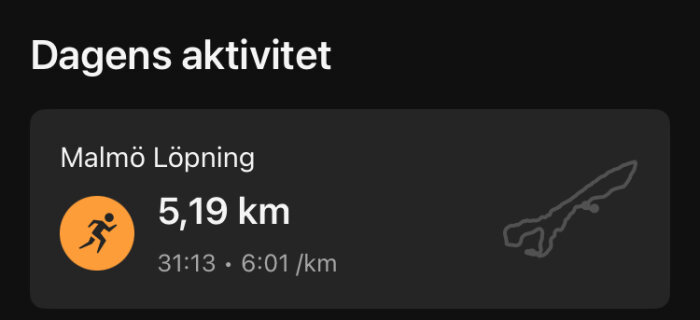 Löpningsstatistik från Malmö visar en distans på 5,19 km, tid 31:13 och tempo 6:01 per km.