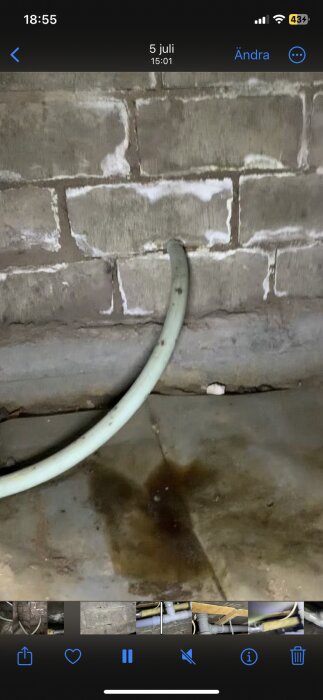 Grönt rör mot en murad vägg med vita kalkutfällningar, brunt vatten på plastgolv i krypgrund.
