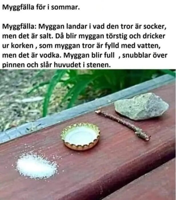 Saltströ, flaska och en sten arrangerade på ett träbord som en myggfälla.