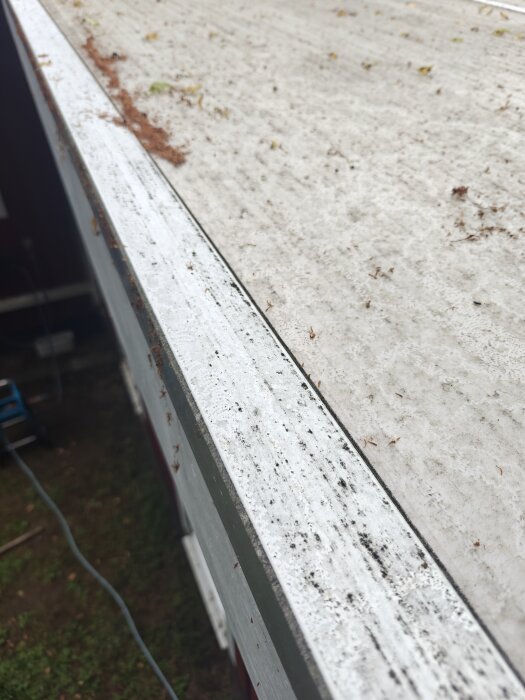 Takfot med vit plastlist delvis lossad och belagd med smuts och alger, diskuteras om list kan bändas upp utan synlig infästning.