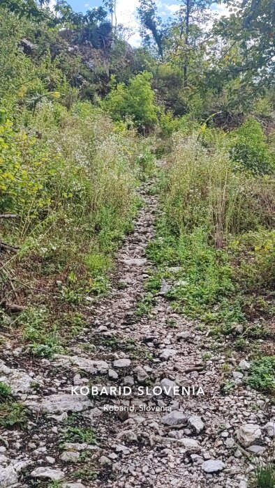 Trappa av stenar och grus leder upp genom skog i Kobarid, Slovenien.