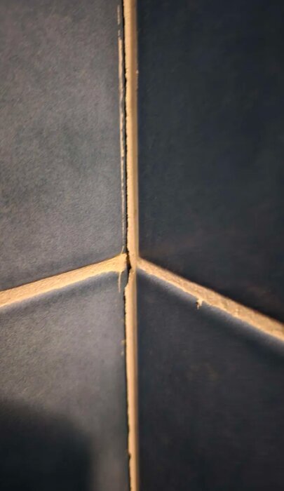 En sprucken fog mellan mörkblå kakelplattor i hörnet av en dusch.