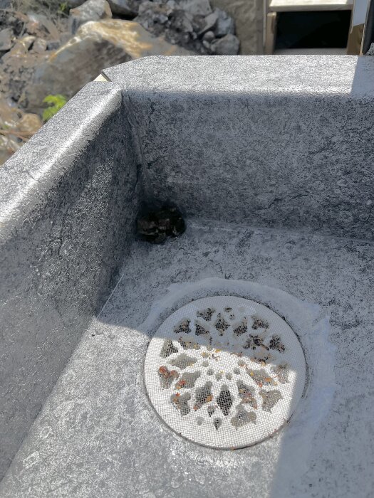 Groda i metallränna vid ett avlopp utomhus med stenar i bakgrunden.