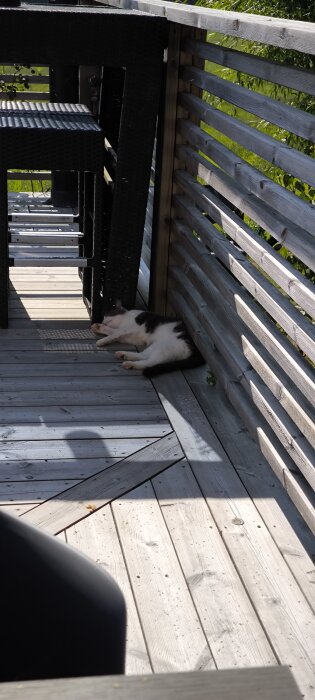 Katt ligger och slappar i solen på en altan med träplankor, intill ett bord och staket.