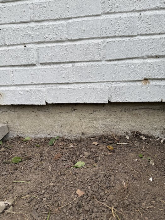 Sprickor synliga i husets sockel på en 70-talsbyggnad med betongplatta, omgivna av jord och blad.