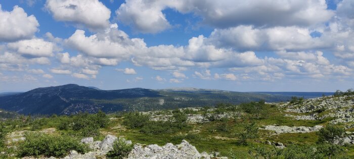 Vy från toppen av ett kalfjäll nära Vemdalen, med grönska, steniga områden och molnig himmel.