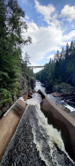 Vatten rusar nerför ett konstgjort vattenfall av betong i en skogsklädd dal, med en bro i bakgrunden.