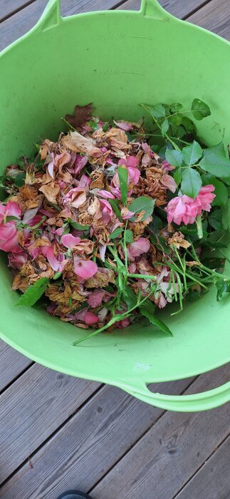 Gröna hinken innehåller vissna rosor och blad.