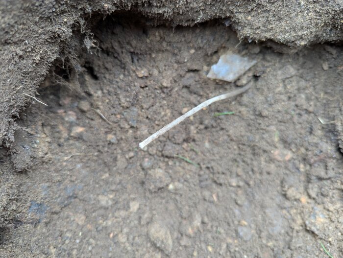 Jord med en exponerad vit kabel eller rot i en grop, eventuellt avgrävd under grävarbete.