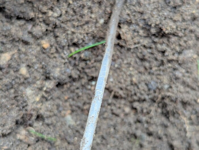 Grävd jord med delvis blottlagt föremål som liknar en kabel eller rör.