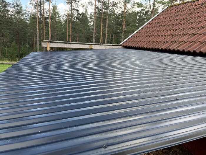 Plåttak sett från sidan, med omgivande grönska och en tegelvägg i bakgrunden, under klar sommarhimmel.