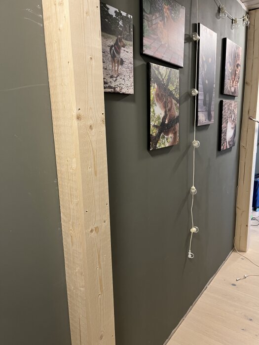 Trävägg med träbalk utanpåliggande, tavlor med djurmotiv och ljusslinga längs mörkgrön vägg.