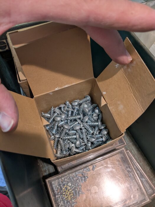 Öppen kartong med många silverfärgade skruvar och en plastlåda under, fylld med skruvar och några gyllene stift.