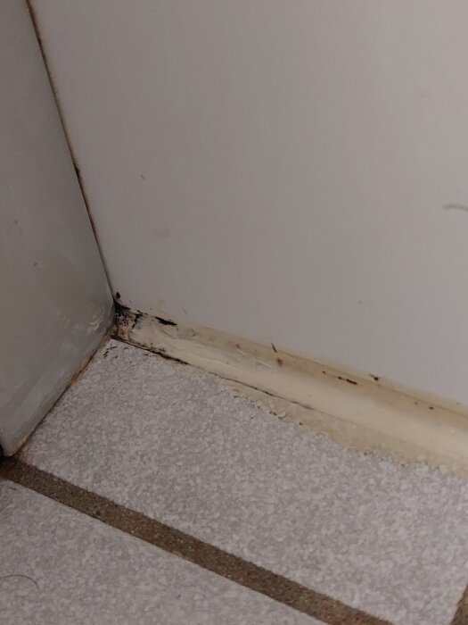 Spricka i kakel med mögel i badrumshörna.