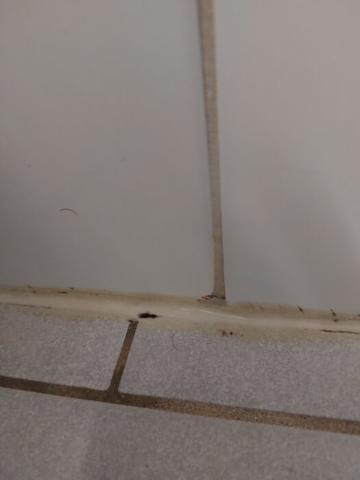 Kakel med spricka och mögel i badrummet, svart mögel synligt i silikonfogen vid kakelövergång mot golv.