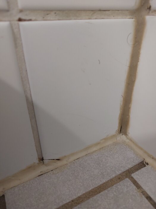 Spricka i kakel med mögel och missfärgad fog i ett badrumshörn, potentiellt tecken på fuktskada.
