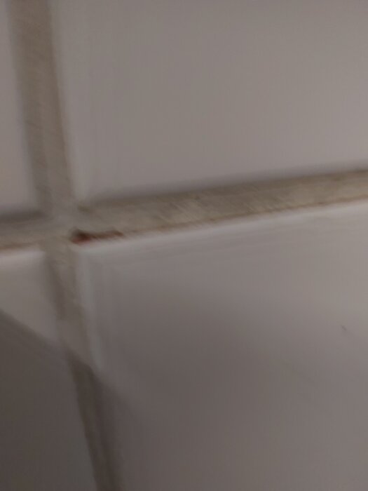 Spricka i vitt kakel med mögel i fogarna i ett badrum.