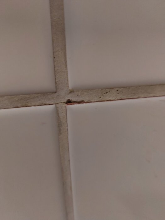Spricka i badrumskakel med början till mögel vid kakelfogarna.