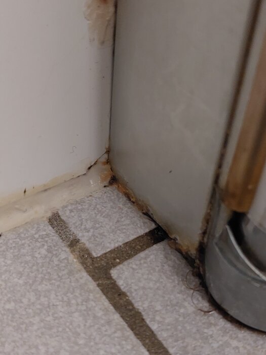 Spricka i kakel med synligt mögel i ett badrumshörn, potentiell fuktskada.