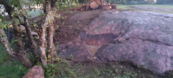 Litet hål i bergslänt omgiven av träd och stenar i trädgård, lämpligt för att skapa en mini-damm.