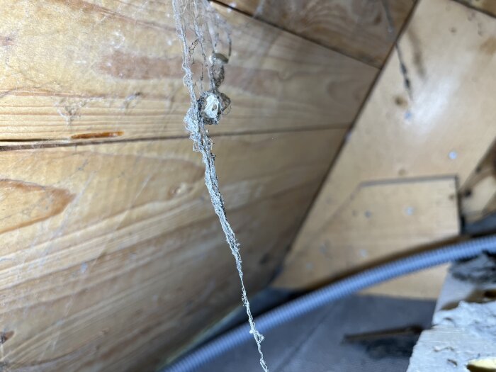 Träbjälklag med spindelväv i kattvind, synlig ventilationsspringa mellan panelbrädor.