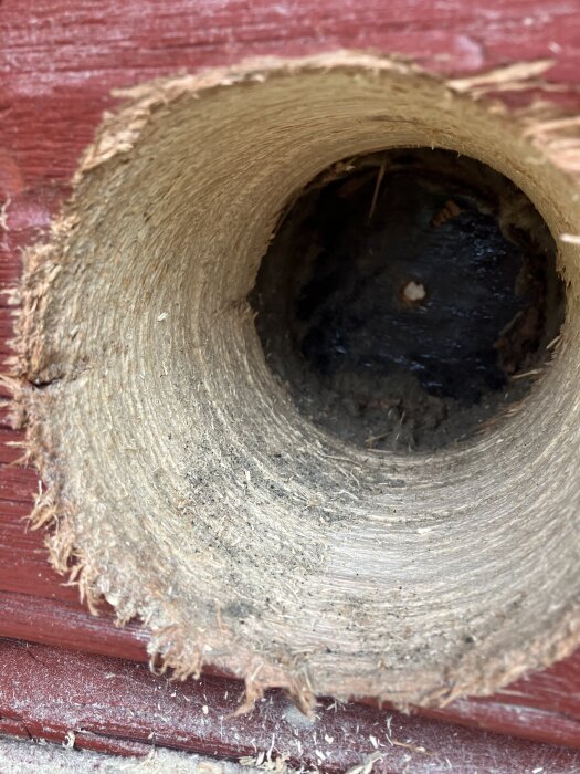 Ett nyborrat, cirkulärt hål i rött trä, troligen i en sommarstuga, med grov yta och träspån runt kanterna.