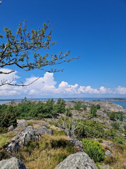 En vy över kustlandskap med klippor, gröna träd och buskar under en klarblå himmel med vita moln i fjärran.