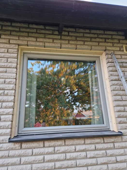 Fönster med ny montering i tegelvägg, reflektion av träd och himmel syns i glaset.