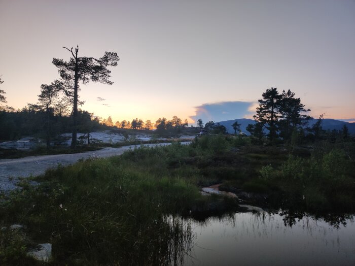 Solnedgång över en skog med träd och en väg, reflekterad i en stilla vattenyta, omgiven av grönska och berg i bakgrunden.