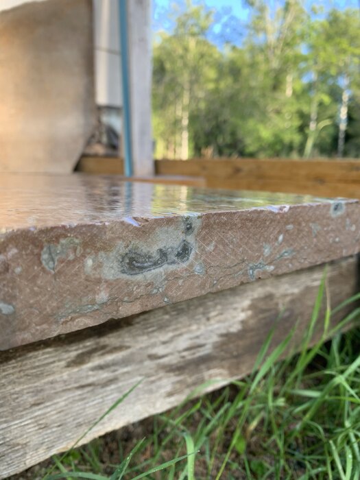 En närbild av en våt stenplatta med textur och mönster, placerad utomhus bredvid trä och gräs i bakgrunden.