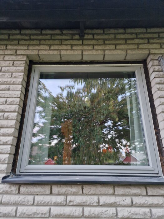 Ett fönster på ett trähus med mexitegel fasad, reflekterar ett träd i glaset. Bytet av foder pågår och diskussion om regnskydd förs.