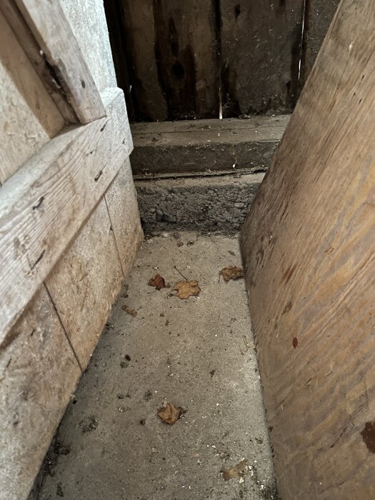 Gammalt betonggolv i vedbod med träväggar och några löv liggande på golvet.