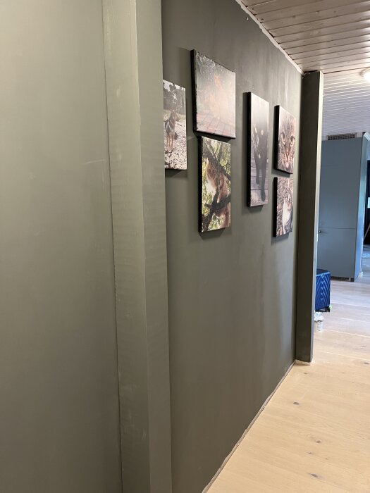 En nymålad vägg i en hall med flera tavlor upphängda, taket är av träpanel.