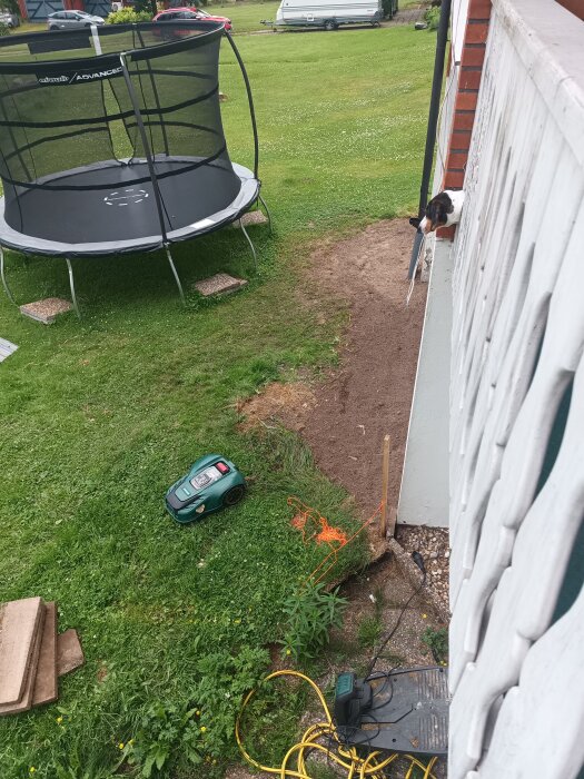 Trädgård med gräsmatta, trampolin, självgående gräsklippare och hund på altan. Förberedelser för dränering och markarbete pågår.