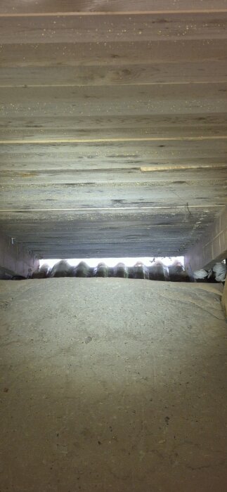 Vind med exponerade träplankor och betonggolv, visar potentiellt svartmögel och tecken på läckage.